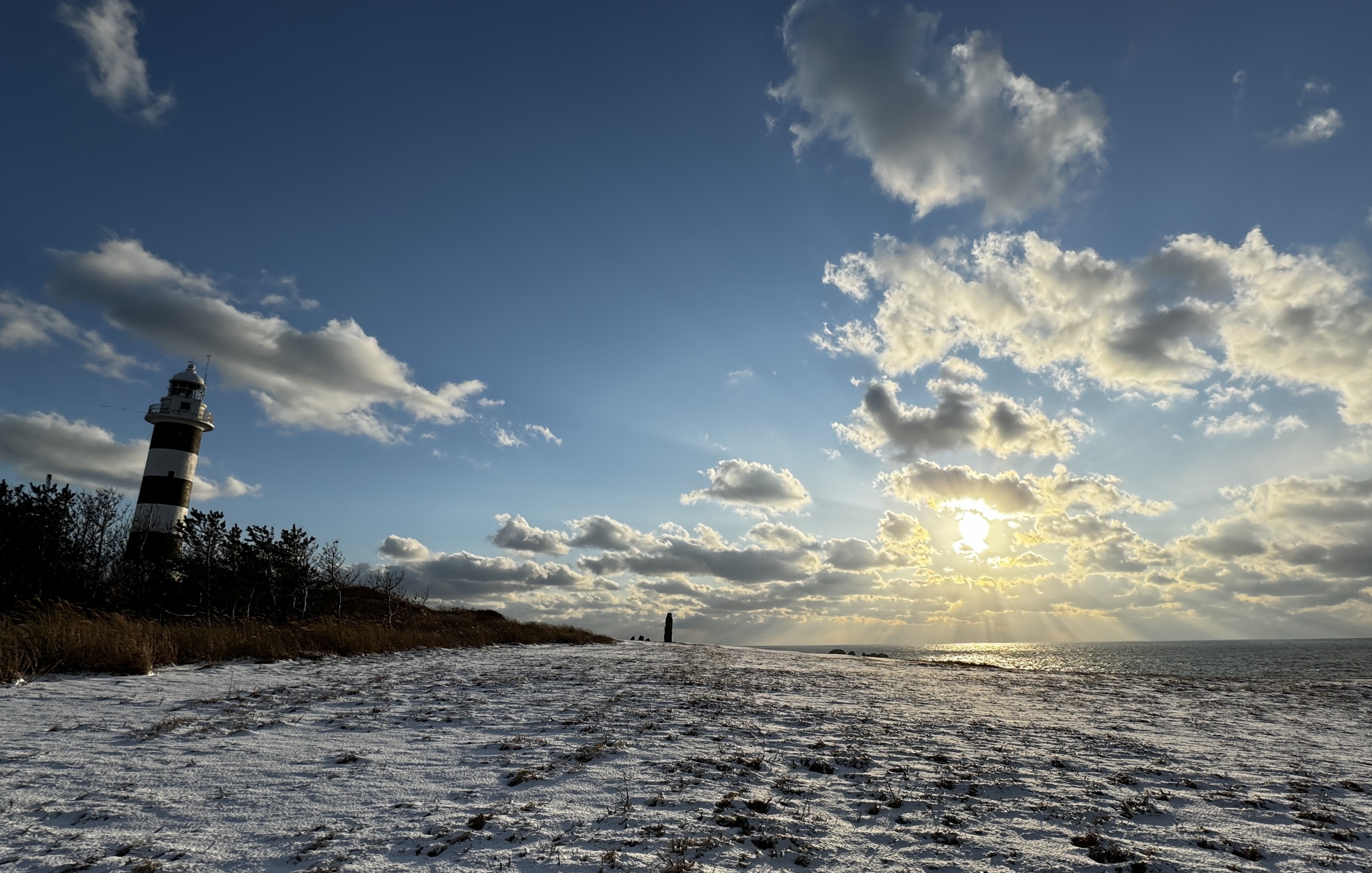 若手社員の休みの日の過ごし方